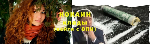 PSILOCYBIN Михайловск