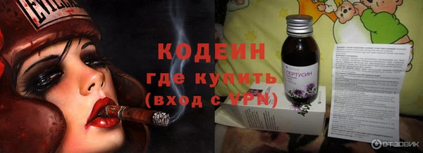 дмт Богданович
