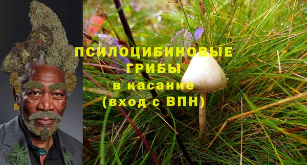 дмт Богданович