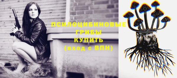 дмт Богданович