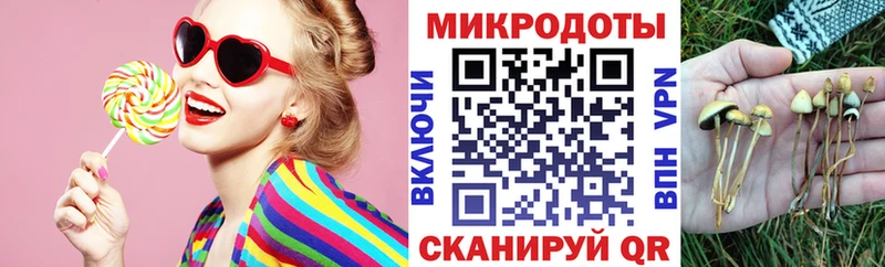 Псилоцибиновые грибы Psilocybe  Белая Холуница 
