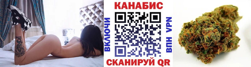 Бошки марихуана конопля  Белая Холуница 